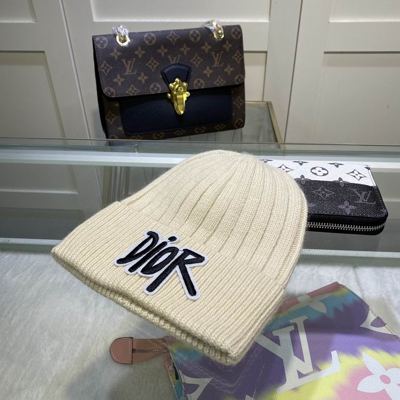 Dior Beanie ID:20220224-44